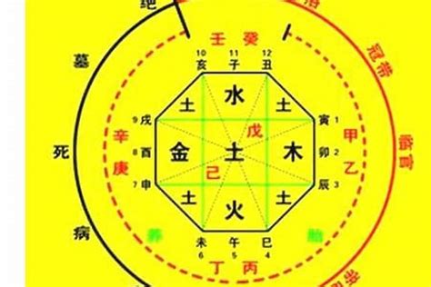 喜用神 金水|八字喜用神为金水 (喜用神和五行缺有什么区别)